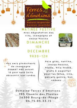 Matinée festive pour préparer les fêtes!!!